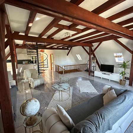 Schoene Grosse Maisonettenwohnung In Weissenthurm Ngoại thất bức ảnh